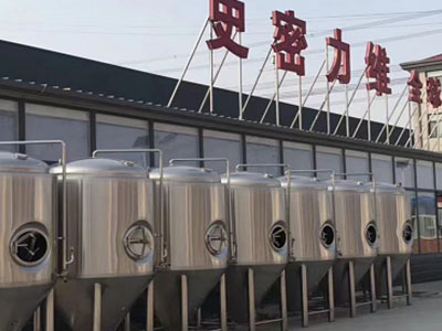 乌鲁木齐精酿啤酒设备厂—如何判断精酿啤酒设备的密封件需要更换？